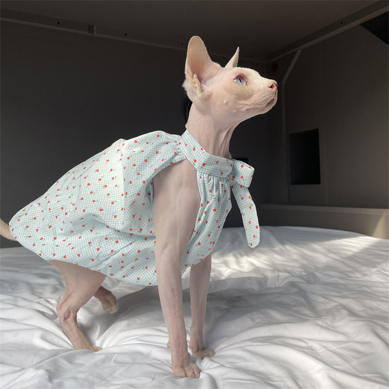 Cat Clothing in Summer Sweet L - Summer Light Clothing recension och pris