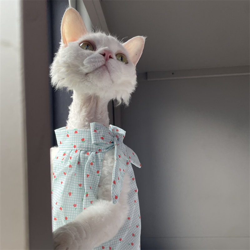 Cat Clothing in Summer Sweet L - Summer Light Clothing recension och pris