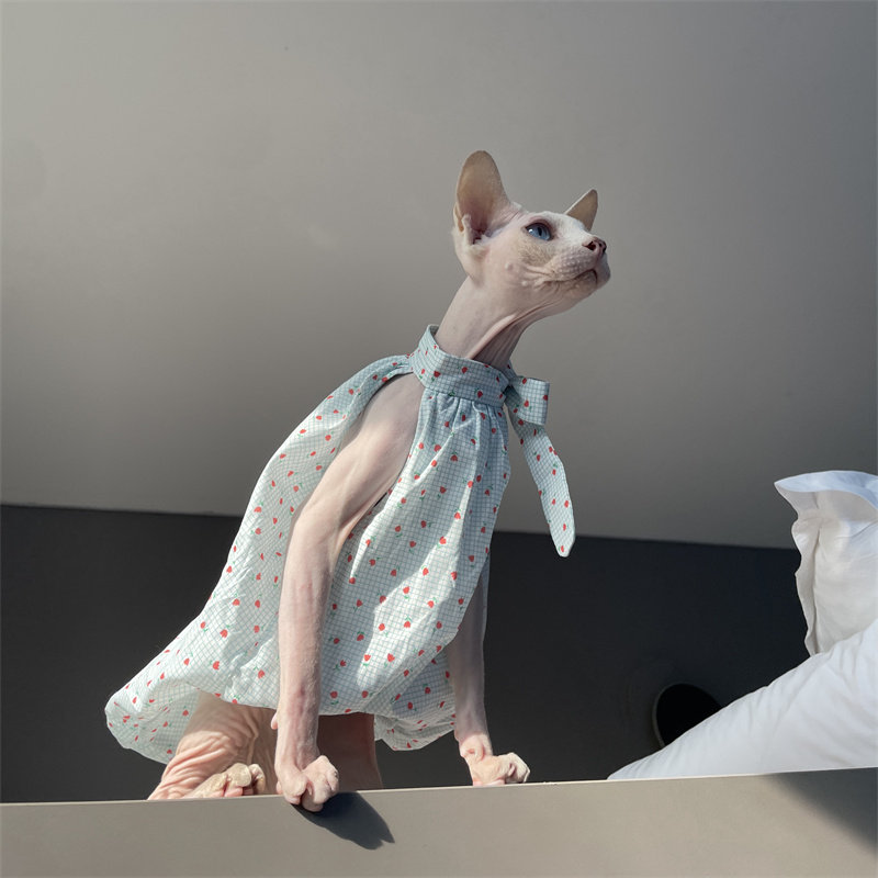 Cat Clothing in Summer Sweet L - Summer Light Clothing recension och pris