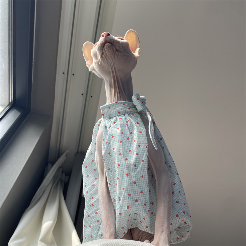 Cat Clothing in Summer Sweet L - Summer Light Clothing recension och pris
